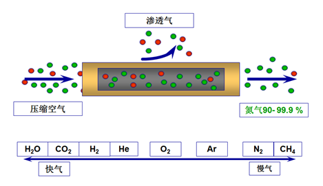 膜空气分离原理.png